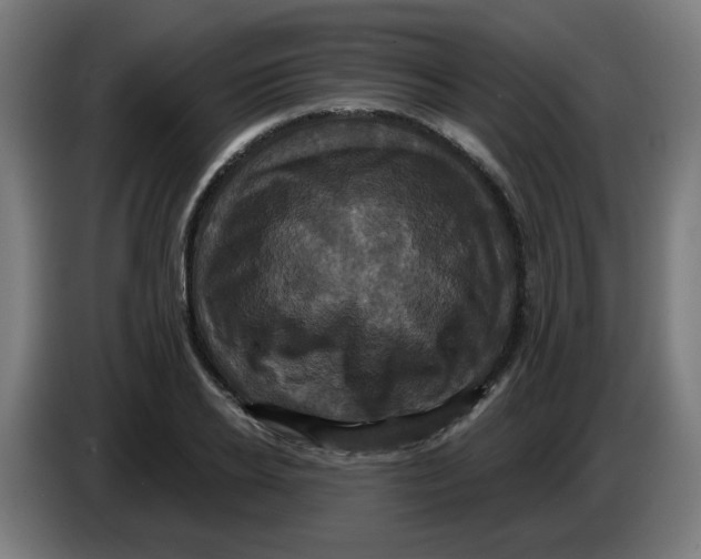 X0000086220934200704191735