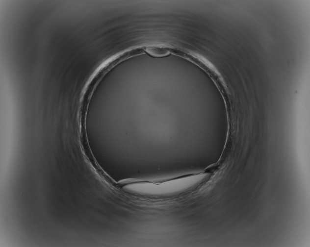 X0000086220935200704191735