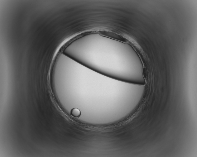 X0000086220936200704191735