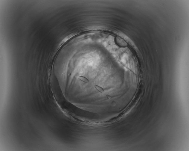 X0000086220937200704191735