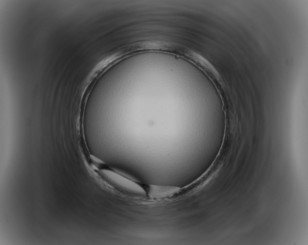 X0000086220938200704191735