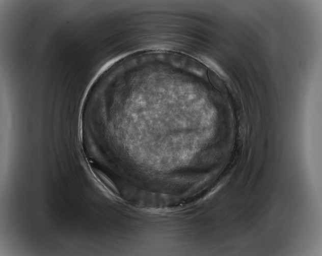 X0000086220940200704191735