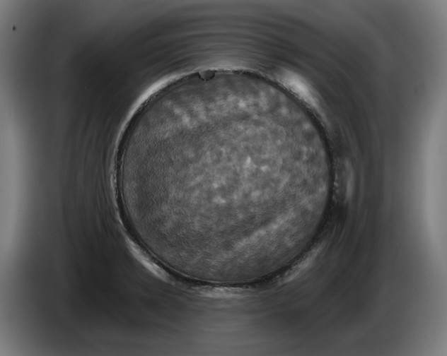 X0000086220942200704191735