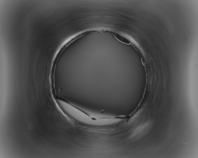 X0000086220943200704191735