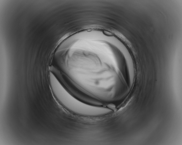 X0000086220945200704191735