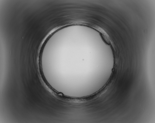 X0000086220947200704191735