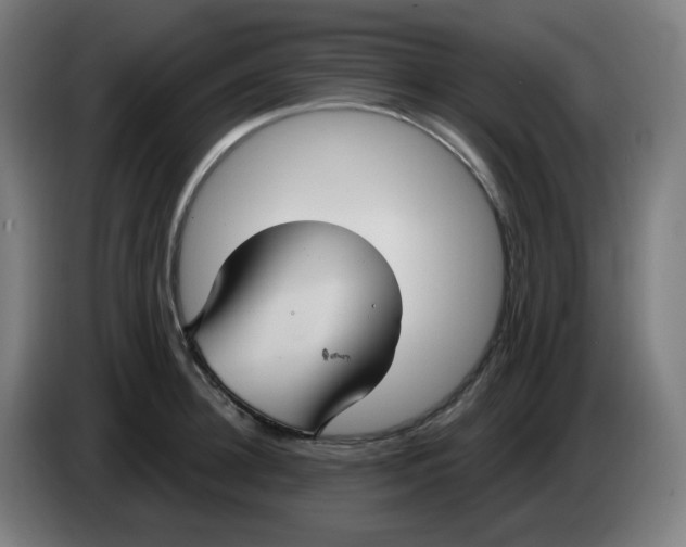 X0000086220948200704191735