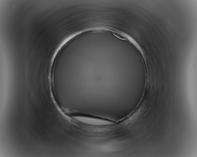 X0000086220951200704191735