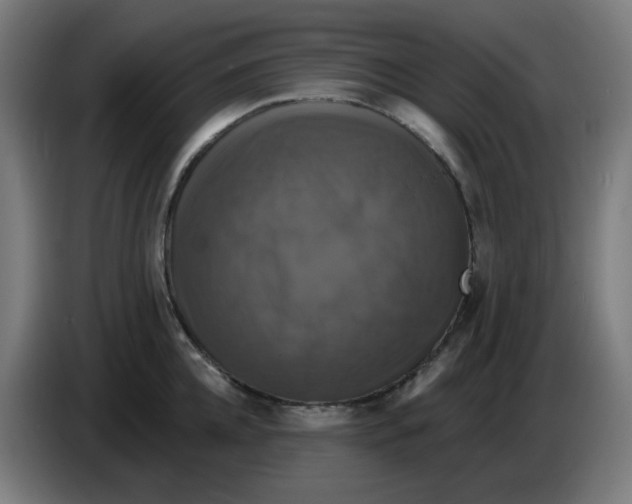 X0000086220952200704191735