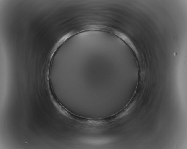 X0000086220954200704191735