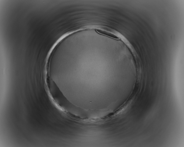 X0000086220955200704191735