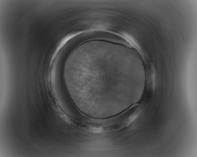 X0000086220956200704191736