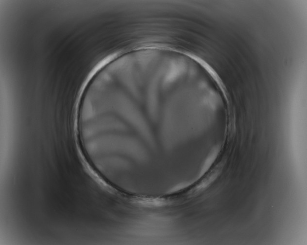 X0000086220957200704191736