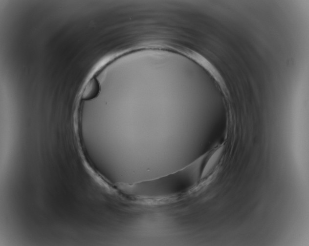 X0000086220958200704191736