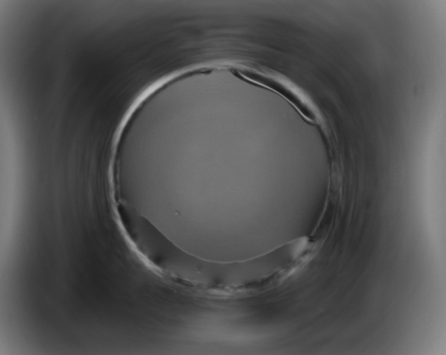 X0000086220959200704191736