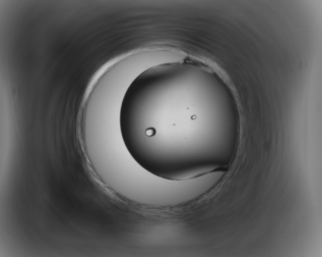 X0000086220960200704191736