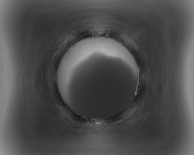 X0000086220961200704191735