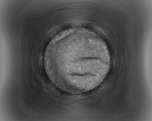 X0000086220964200704191735