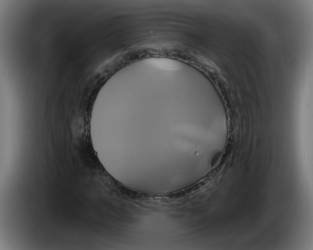 X0000086220966200704191735