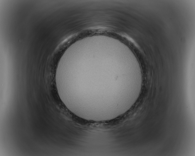 X0000086220967200704191735