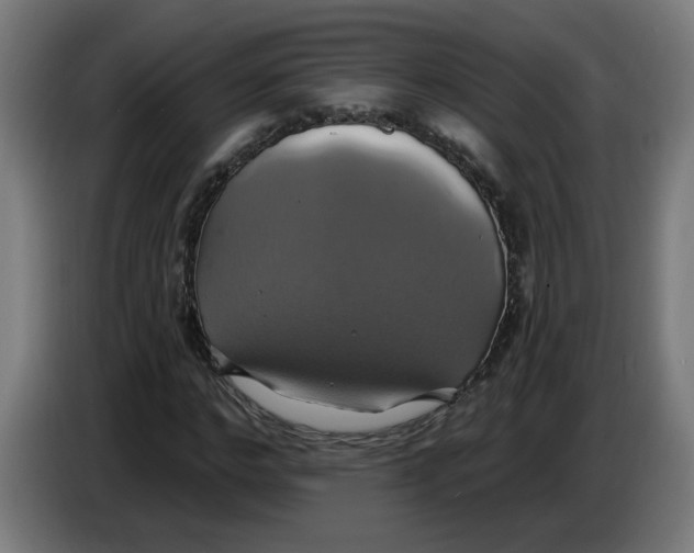 X0000086220968200704191735