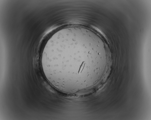 X0000086220971200704191735