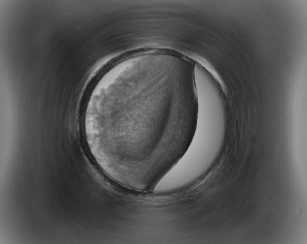 X0000086220972200704191735