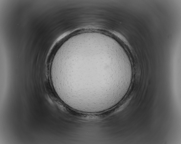 X0000086220974200704191735