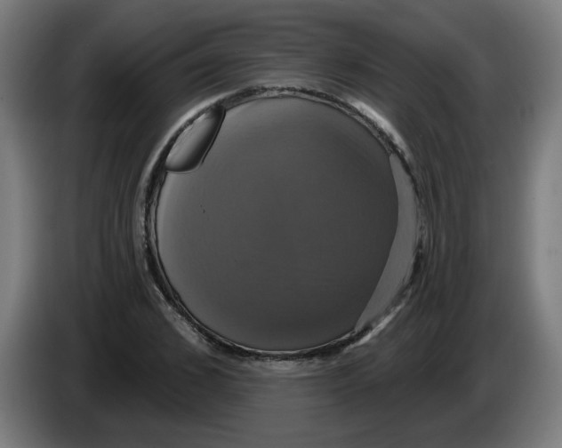 X0000086220976200704191735