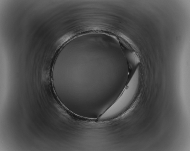 X0000086220977200704191735