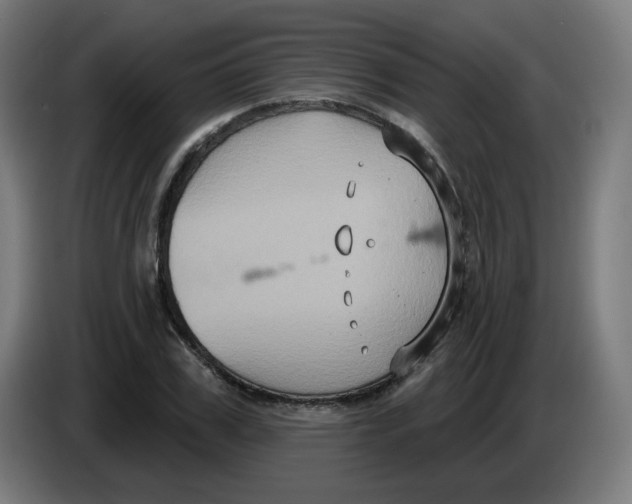 X0000086220979200704191735