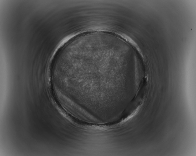 X0000086220981200704191735