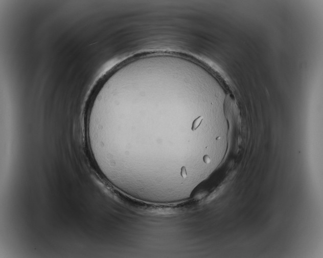 X0000086220982200704191735