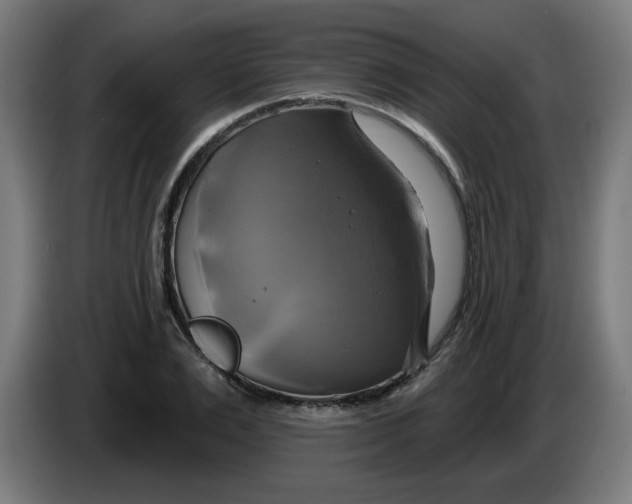 X0000086220983200704191735