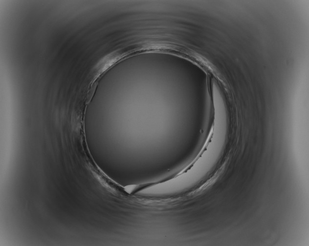 X0000086220985200704191735