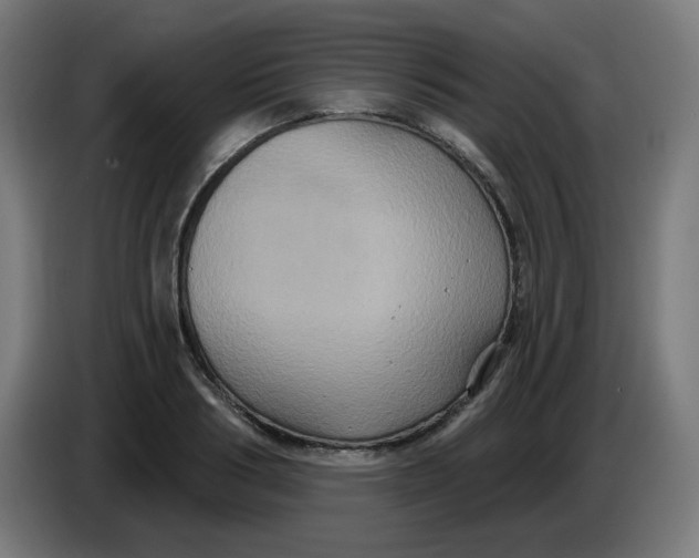 X0000086220986200704191735