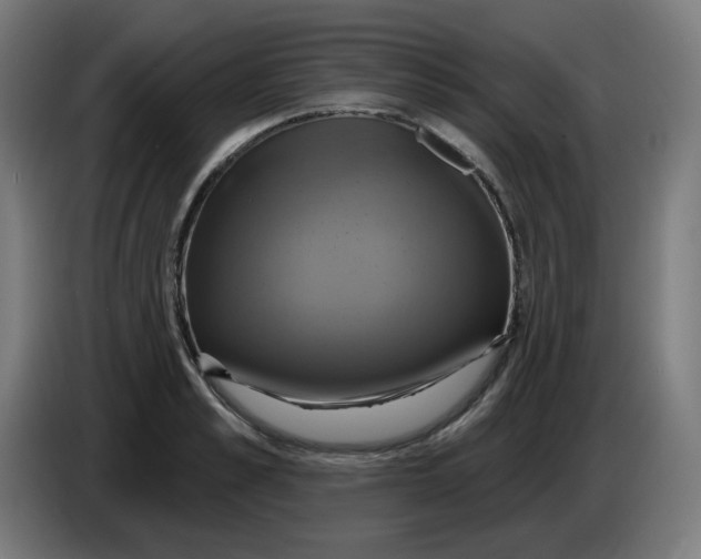 X0000086220989200704191735