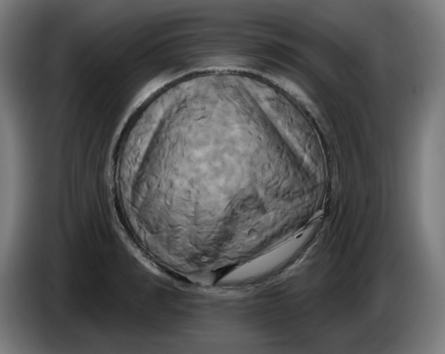 X0000086220990200704191735