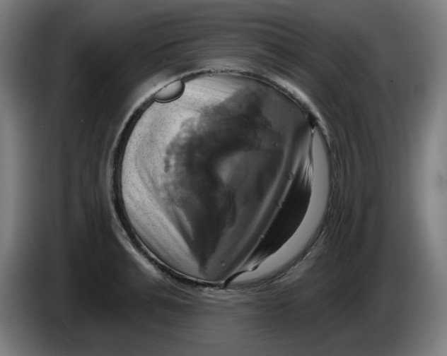 X0000086220991200704191734