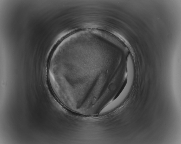 X0000086220992200704191734