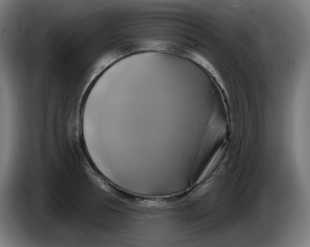 X0000086220994200704191734