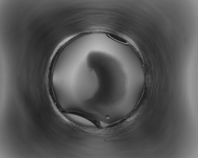 X0000086220995200704191734