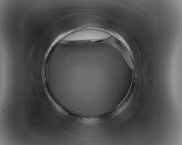 X0000086220997200704191734