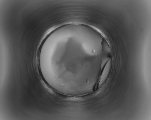 X0000086220998200704191734