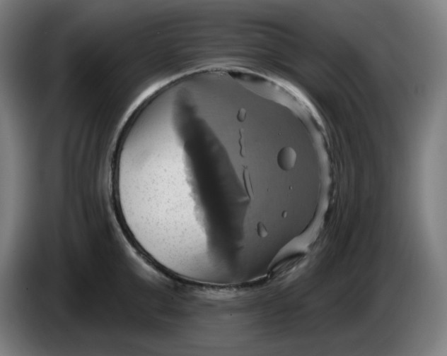 X0000086220999200704191734