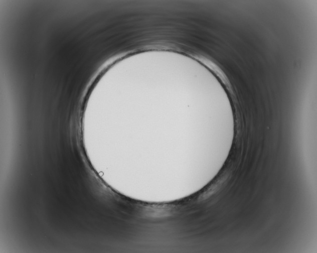 X0000086221000200704191734