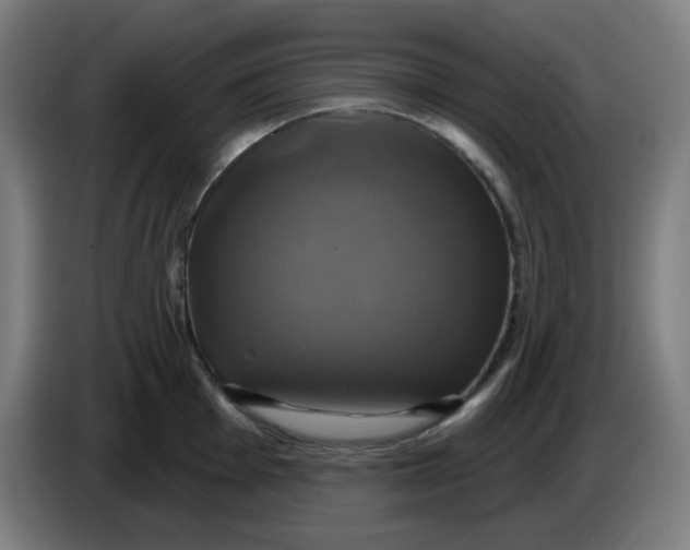 X0000086221001200704191734