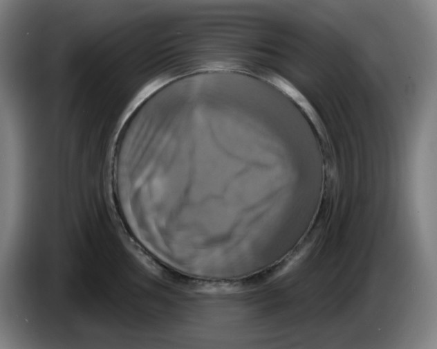 X0000086221002200704191734