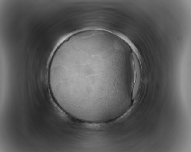 X0000086221004200704191734