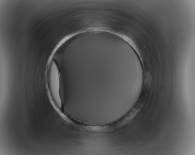 X0000086221005200704191734